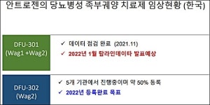 안트로젠 내년 1월 당뇨족부궤양 3상 탑라인 발표