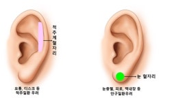 얼굴만 봐도 건강이 보여요 4-귀