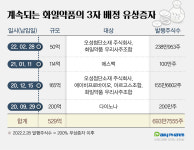 원료사업 부진 화일약품, 주식 찍어내 투자 활동 강화