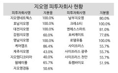 지배기업 27곳...지오영, 활발한 투자로 덩치 키웠다