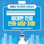 불법진료·본인확인 불가…시범사업, 부작용 대책 깜깜