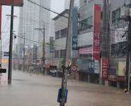 올해는 무사히…초강력 태풍 북상소식에 약국가 긴장