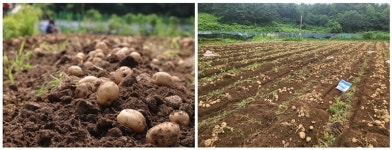 쎌바이오텍, 자원 선순환 앞장…ESG 경영 강화