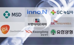 판권 연쇄이동 속출...국내제약, 도입백신 쟁탈전 가열
