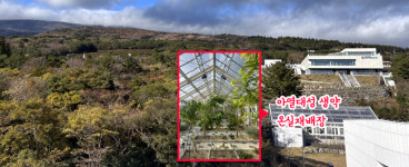 1년만에 재방문한 제주 생약센터...확 달라졌다