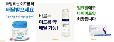 닥터나우 전문약 광고만 처분…정식재판 청구