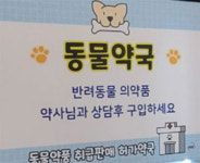서울지역 동물약국수 2362곳…강남 247곳 최다
