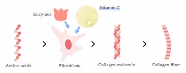 [기고] 비타메드 레모나산으로 약국 비수기 극복하기