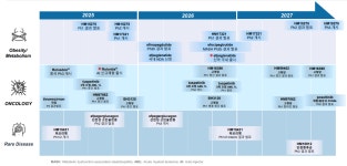 각자도생과 표심잡기...한미 지주사·약품 비전 살펴보니