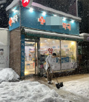 눈 폭탄에 환자 뚝…약국 눈만 쓸다 하루갔다