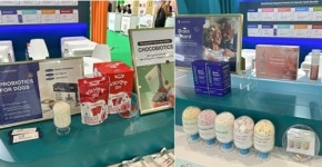 쎌바이오텍, 비타푸드 유럽서 대장암 신약 개발 주목