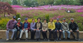 마포구약, 원로 선배들과 꽃 나들이 야유회