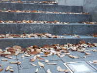 오늘날씨, 미세먼지 씻어낼 ‘단비’...비 그친 후 찬공기