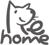 도그어스플래닛, 구조견과 유기견들을 위해 ‘다시 집으로! 리홈(Re-home)’ 캠페인 진행