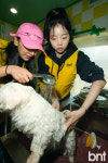 [포토] 정들레-퀸즈아이 다민 호흡이 척척
