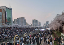 오늘날씨, 낮 기온 26도 초여름 같은 봄...서울‧수도권 ‘건조’