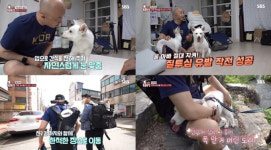 TV동물농장 1년째 방에서 안나오는 토리의 비밀