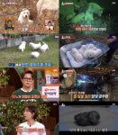 ‘TV동물농장’ 불법 번식장 현장… 최고6.2%