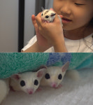 ‘동물농장’ 필라테스 일타묘 유자