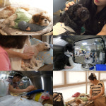 ‘동물농장’ 심장이 뛴다 3편