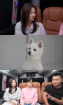 ‘개와늑대의시간’ 익산 묻지마 공격견