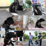 ‘TV동물농장’ 10년차 근속犬 ‘까미’