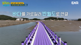 길치라도 괜찮아 김용빈 목포 활어회, 민어회 → 신안 퍼플섬