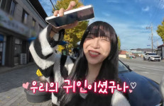 ‘어디로 튈지 몰라’ 중랑구 돼지갈비 식당