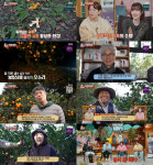 ‘TV동물농장’ 오소리 귤 도둑