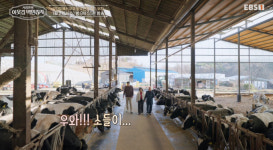 이웃집 백만장자 이수호 젖소 목장주