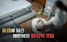 그것이알고싶다 여수 해든이와 홈캠(그알)