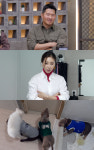 ‘개늑시2’ 오물 범벅 원룸 안 늑대 4마리