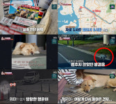 ‘TV동물농장’ 행운이 기적