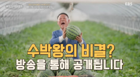 '이웃집 백만장자' 수박왕 임장섭