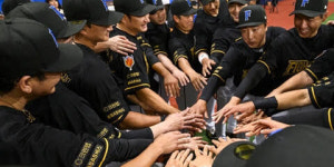 ‘불꽃야구’ 안산 웨이브스 생중계