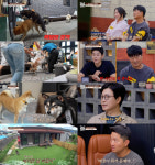 ‘개와 늑대의 시간2’ 강형욱, 보호자 대처에 일침
