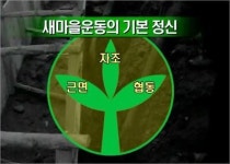 [반공포로 2세의 초등학교시절] 새마을운동의 추억