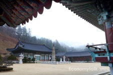 촌놈들이 올림픽을 어떻게 치러? 올림픽 개최지 평창군 공동체 생활문화 조사