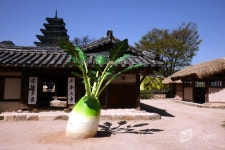 국립민속박물관, 오촌댁에서 수리취떡과 약차 시식 행사 진행