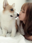 [스타 일상] 걸그룹 리브하이 신아, 달달한 애견 아누와의 일상 TV 동물농장 영상인줄~