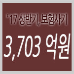 [상반기 보험사기 적발] 3,703억… 역대최고 금액