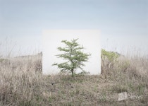 5년만의 개인전 이명호 보이지 않는 뒷면도 담아봤죠.