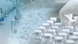 R&D 성과와 정책 기대감…제약·바이오주 이끄는 쌍두마차