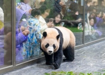 [포토] 판다s 세컨하우스 (@에버랜드)