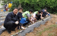 하수처리장 유휴지 주말농장 탈바꿈도시농부 돼봐요
