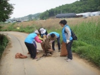 남동구 논·밭 폐비닐 수거 활동