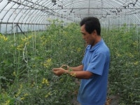 기술력 풍부 … 고소득 올리는강소농