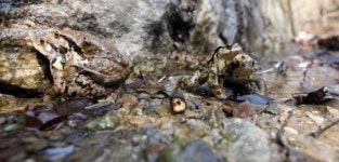 남자 2호는 짝을 찾지 못했다