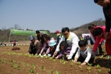 안산시 도시농업 단원농장 개장
