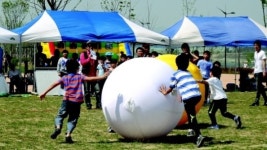 전국 5개강 문화관어린이날 강사랑 축제